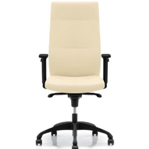 DorsoT0001_Mikmaq_Office_Furniture