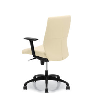 DorsoT0002_Mikmaq_Office_Furniture