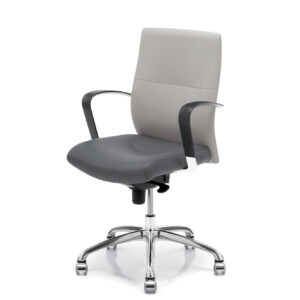 DorsoT0006_Mikmaq_Office_Furniture