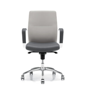 DorsoT0009_Mikmaq_Office_Furniture