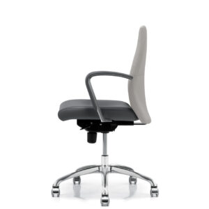 DorsoT0011_Mikmaq_Office_Furniture