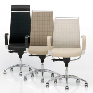 DorsoW0007_Mikmaq_Office_Furniture