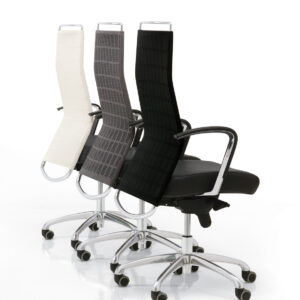 DorsoW0008_Mikmaq_Office_Furniture