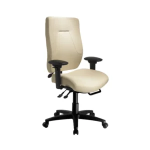 ergoCentric_24Centric-24MT-SWV_Mi'kmaq_Office_Furniture