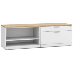 Elements Storage Cabinet and Bookshelf Credenza - Image 11