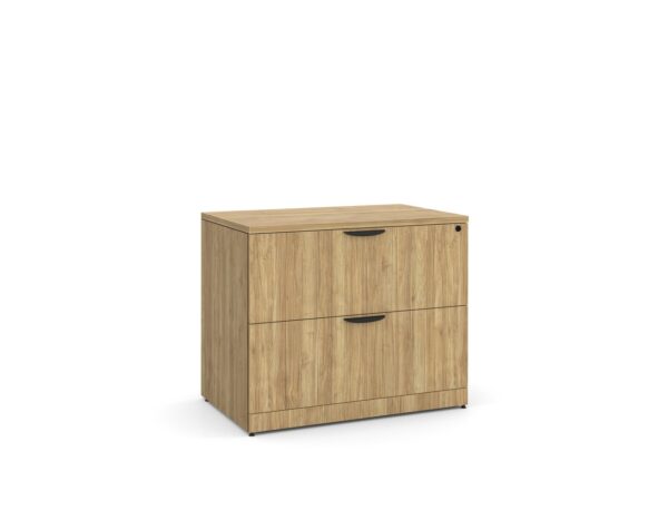 Lateral-Filing-Cabinet-2-Drawer-in-Aspen.jpg