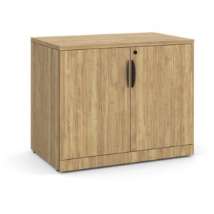Locking Double Door Storage Cabinet - 29.5 Inch - Image 1