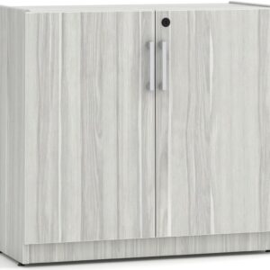 Heavy Duty Bookshelves - 2 Shelf - with Doors - Silver Birch