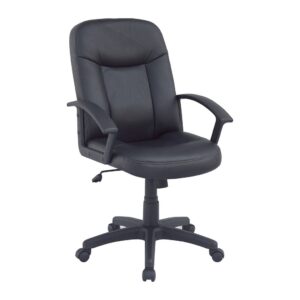 Manteo Mid Back Chair