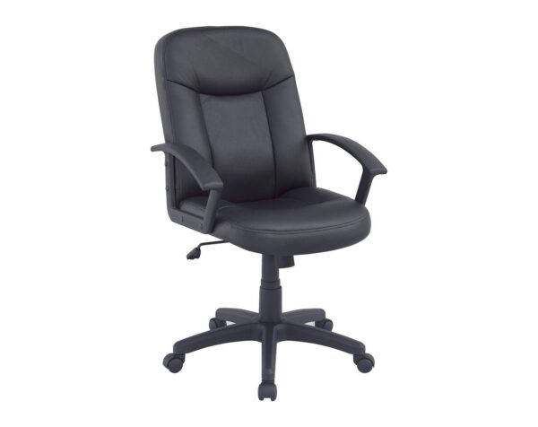 Manteo Mid Back Chair Manteo Mid Back Chair